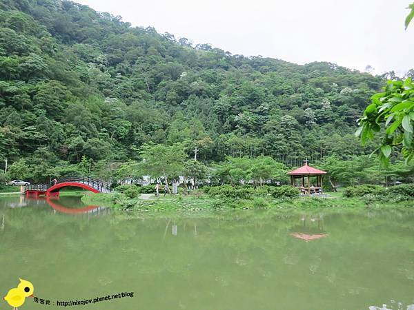 【宜蘭】望龍埤-湖畔中的夢境