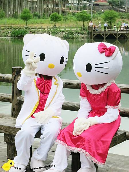 【宜蘭】望龍埤-湖畔中的夢境