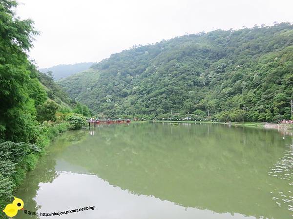 【宜蘭】望龍埤-湖畔中的夢境