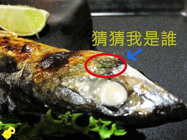【台北】百八魚場-綠色小蟲加料篇