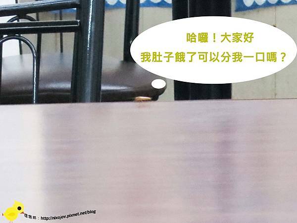 【台北 蘆洲】山西快炒-路上最強生物篇