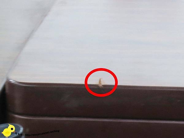 【台北 蘆洲】山西快炒-路上最強生物篇