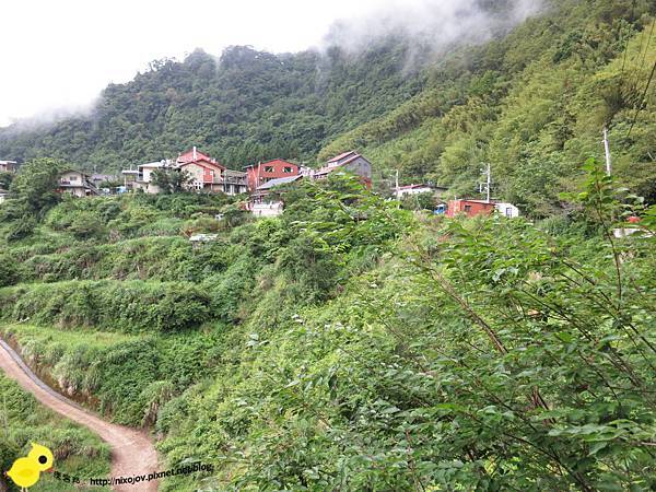 【新竹】司馬庫斯-人間密境遙遠的國度