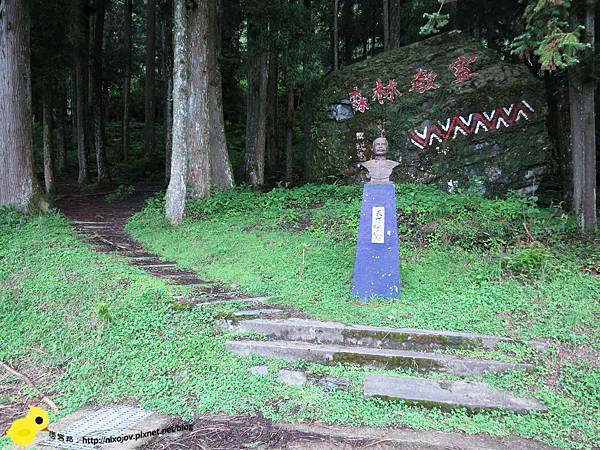 【新竹】司馬庫斯-人間密境遙遠的國度