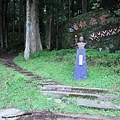 【新竹】司馬庫斯-人間密境遙遠的國度