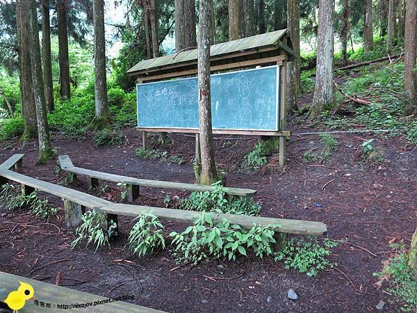 【新竹】司馬庫斯-人間密境遙遠的國度