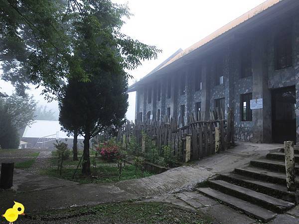 【新竹】司馬庫斯-人間密境遙遠的國度