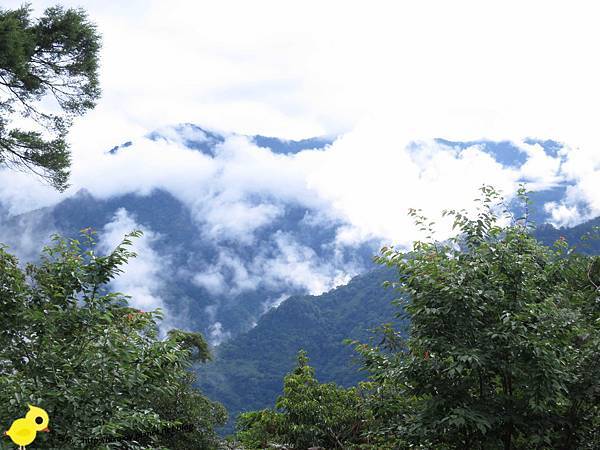 【新竹】司馬庫斯-人間密境遙遠的國度