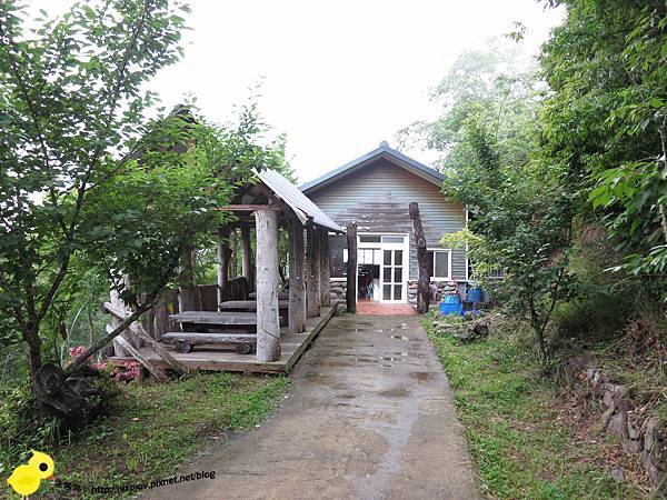 【新竹】司馬庫斯-人間密境遙遠的國度