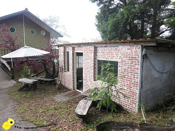 【新竹】司馬庫斯-人間密境遙遠的國度