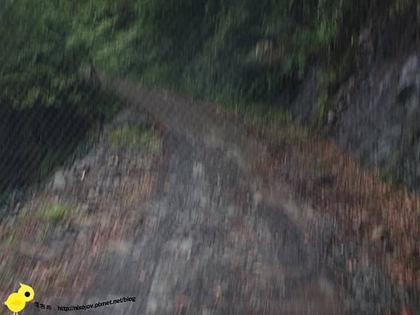 【新竹】司馬庫斯-人間密境遙遠的國度