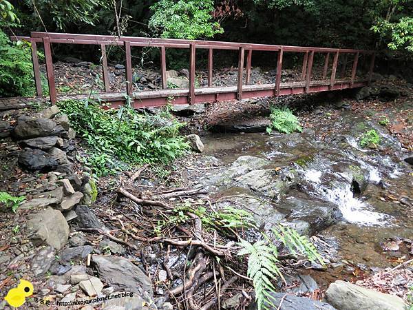 【新竹】司馬庫斯-人間密境遙遠的國度