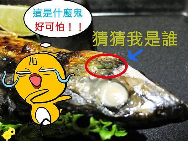 【台北】百八魚場-綠色小蟲加料篇