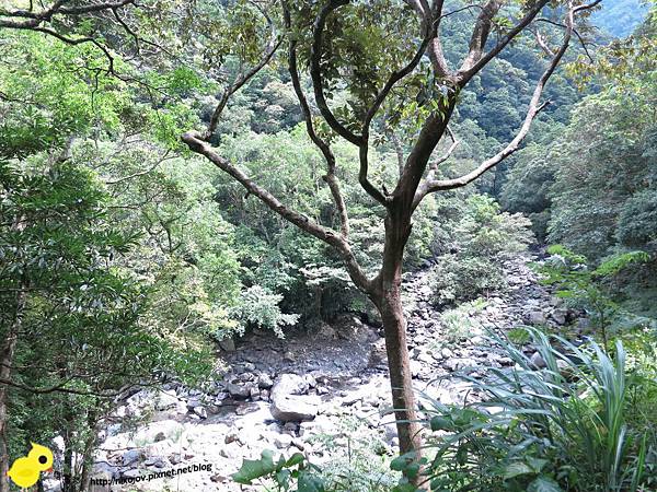 【台北 旅遊】滿月圓森林遊樂區、三峽老街一日遊