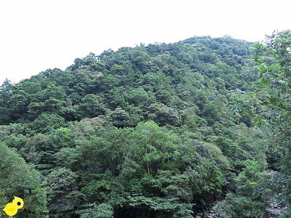 【台北 旅遊】滿月圓森林遊樂區、三峽老街一日遊