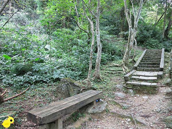 【台北 旅遊】滿月圓森林遊樂區、三峽老街一日遊