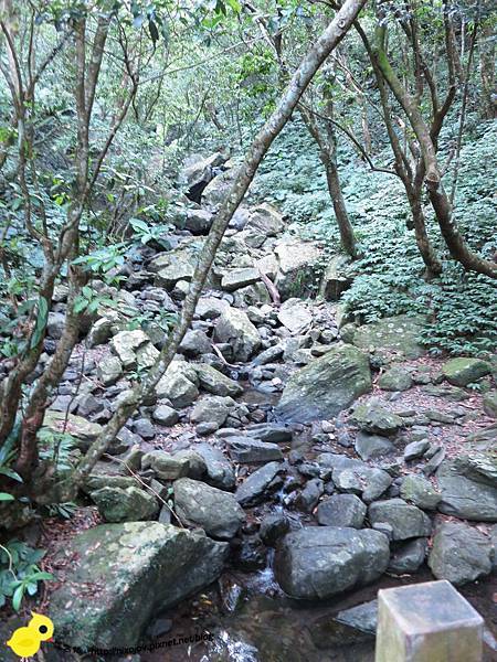 【台北 旅遊】滿月圓森林遊樂區、三峽老街一日遊