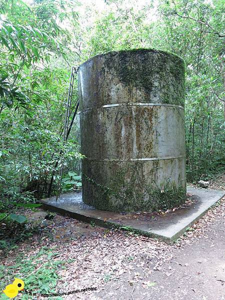 【台北 旅遊】滿月圓森林遊樂區、三峽老街一日遊