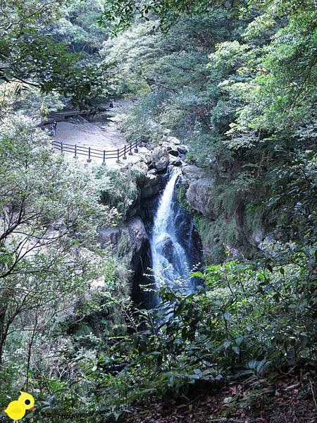 【台北 旅遊】滿月圓森林遊樂區、三峽老街一日遊