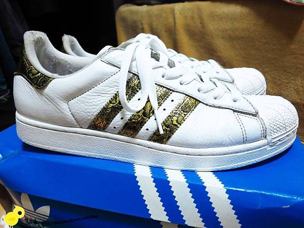 【新莊】WaWa專業洗鞋、洗包、洗帽店-完好如新之還我漂漂鞋