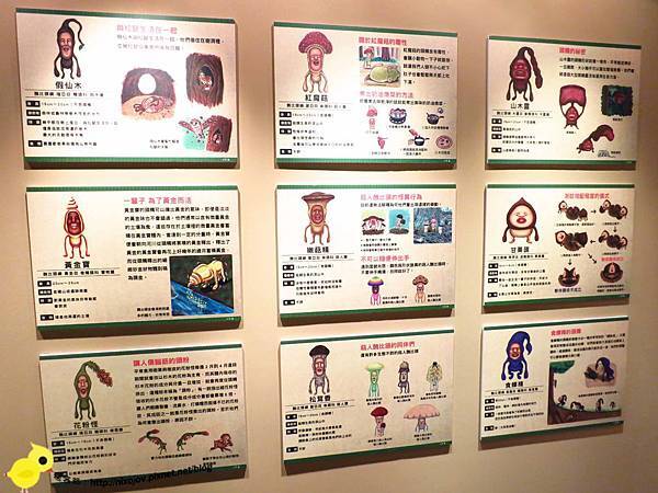 【台北 展覽】療癒系繪本《看見醜比頭》特展-台北華山文創園區