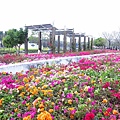 【彰化】溪州花博公園-美麗的費茲洛公園