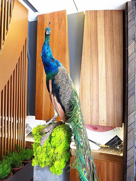 【台中】炙牛食創堂-進攻一級戰區公益路