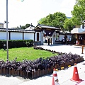 【花蓮景點】吉安慶修院-日式建築風格