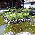 【花蓮景點】吉安慶修院-日式建築風格