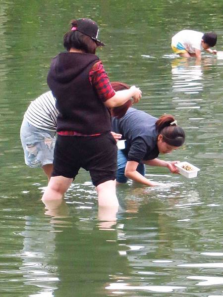 【花蓮景點】立川漁場-大家一起來摸蜆兼洗褲