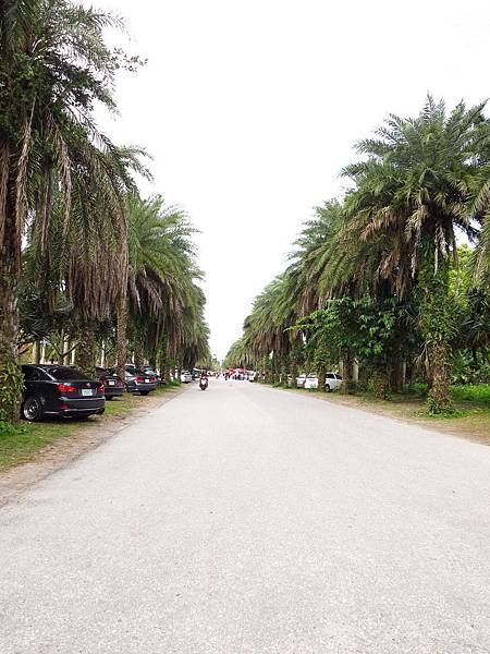 【花蓮景點】雲山水生態農莊-熱帶島嶼般的美景