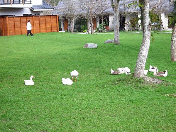 【花蓮景點】雲山水生態農莊-熱帶島嶼般的美景