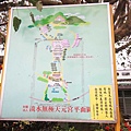 【台北淡水】淡水天元宮櫻花-三月櫻花盛開綻放