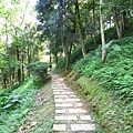 【花蓮旅遊景點】池南森林遊樂區-親子遊樂園