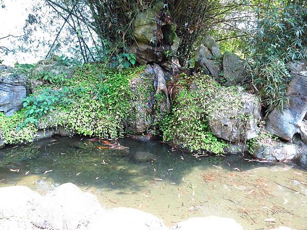 【花蓮旅遊景點】池南森林遊樂區-親子遊樂園