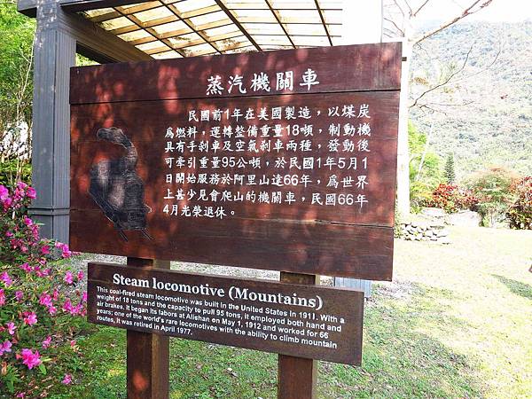 【花蓮旅遊景點】池南森林遊樂區-親子遊樂園