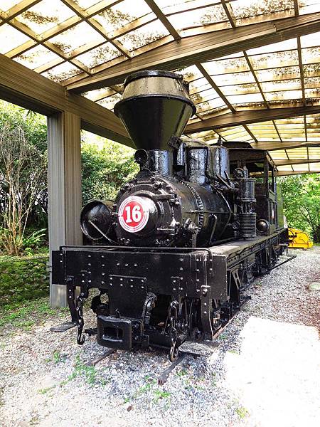 【花蓮旅遊景點】池南森林遊樂區-親子遊樂園