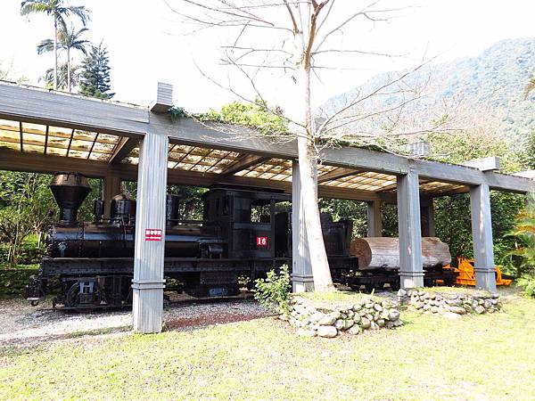 【花蓮旅遊景點】池南森林遊樂區-親子遊樂園