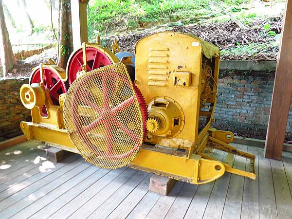 【花蓮旅遊景點】池南森林遊樂區-親子遊樂園