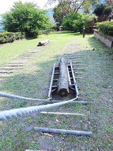 【花蓮旅遊景點】池南森林遊樂區-親子遊樂園