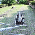 【花蓮旅遊景點】池南森林遊樂區-親子遊樂園