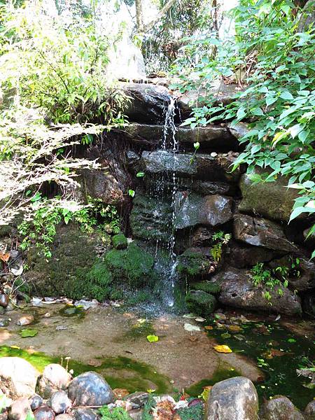【花蓮旅遊景點】池南森林遊樂區-親子遊樂園