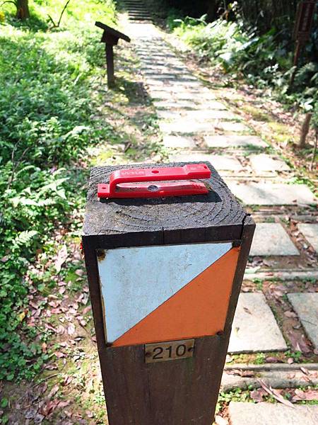 【花蓮旅遊景點】池南森林遊樂區-親子遊樂園