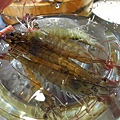【台北】味の町精緻石頭火鍋涮涮鍋-帝王蟹吃到飽龍蝦大餐