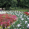 清境農場-清境小瑞士花園-小小花園，大大費用