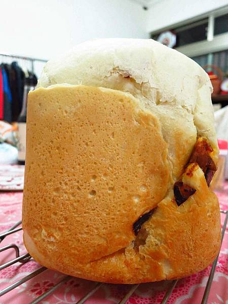 【料理輕鬆簡單做】伊比利豬生菜沙拉