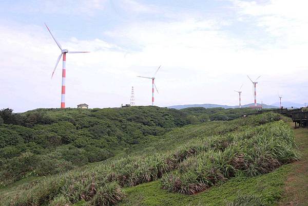 金山老街鴨肉石門老梅綠石槽台北北海岸一日遊