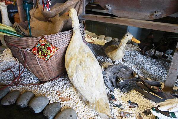 【宜蘭旅遊】鴨寮故事館-養鴨、趕鴨、吃鴨三重奏-鴨子觀光工廠