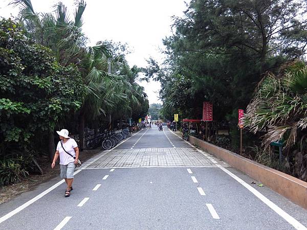 【桃園旅遊景點】桃園新屋綠色走廊&&永安漁港半日遊