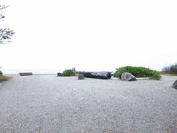 【桃園旅遊景點】桃園新屋綠色走廊&&永安漁港半日遊